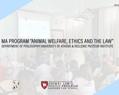 study_visit_chs_-_animal_ethics_2024_resized.png